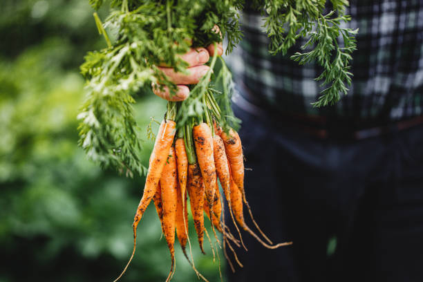 istockphoto 1251268131 612x612